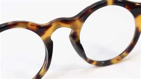 tortoise eye frames